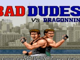 Bad Dudes