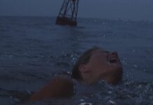 Don't Go in the Water Jaws