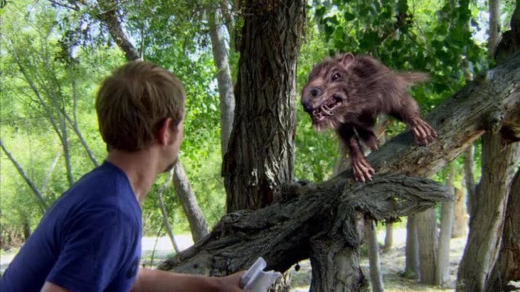 Return of the Killer Shrews Return of the Killer Shrews