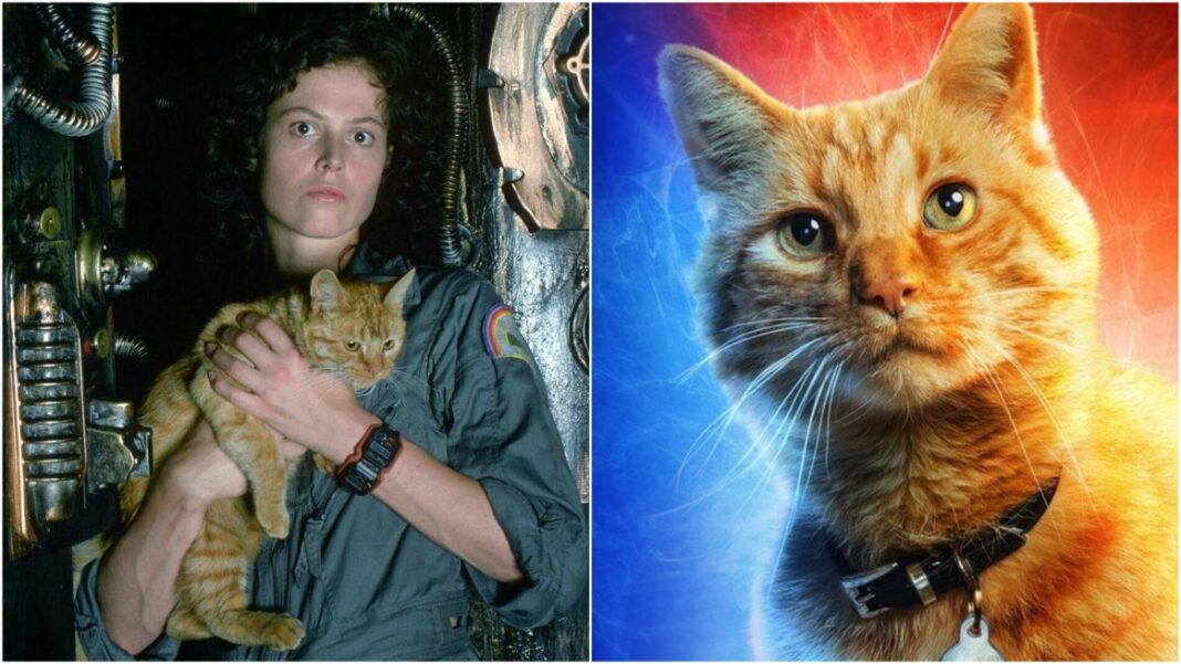 Ripley from Alien and Cat from Captain Marvel
