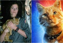 Ripley from Alien and Cat from Captain Marvel
