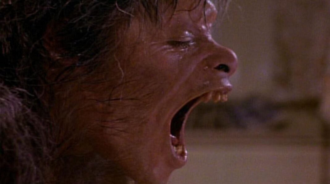 An American Werewolf in London werewolf movies