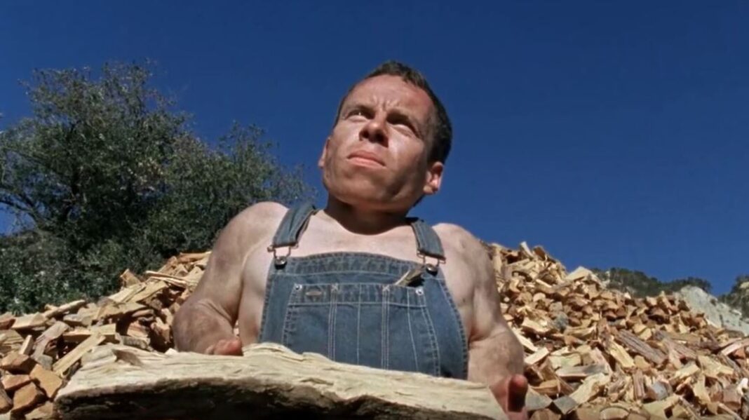 Saint Bernard review