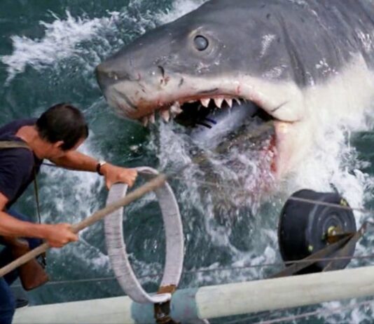 Jaws Shark Experience summer horror