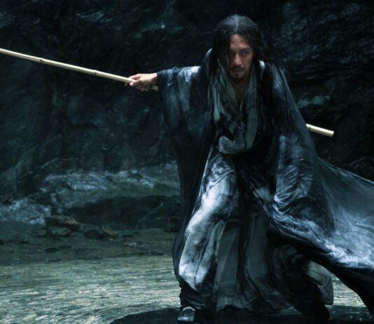 Zhang Yimou Shadow