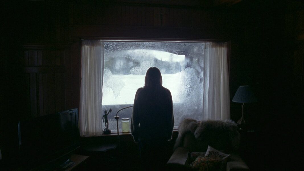 The Lodge Film 2019