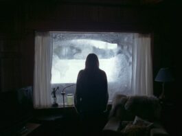 The Lodge Film 2019