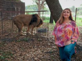 Carole baskin tiger king