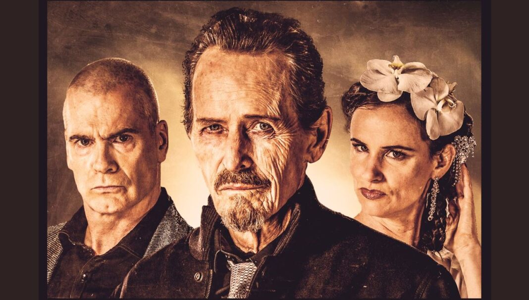 dreamland review bruce mcdonald 0