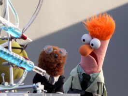 Muppets Now