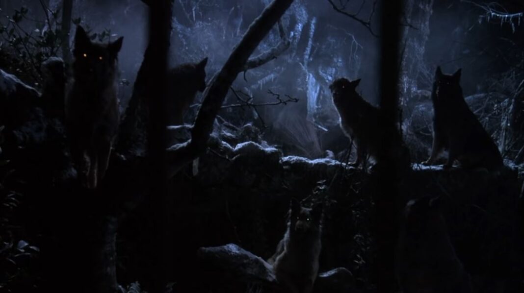 The company of wolves essential werewolf movies