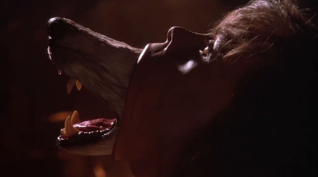 The Company of Wolves (1984) - essential werewolf movies