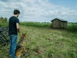 shudder august 2020 the shed