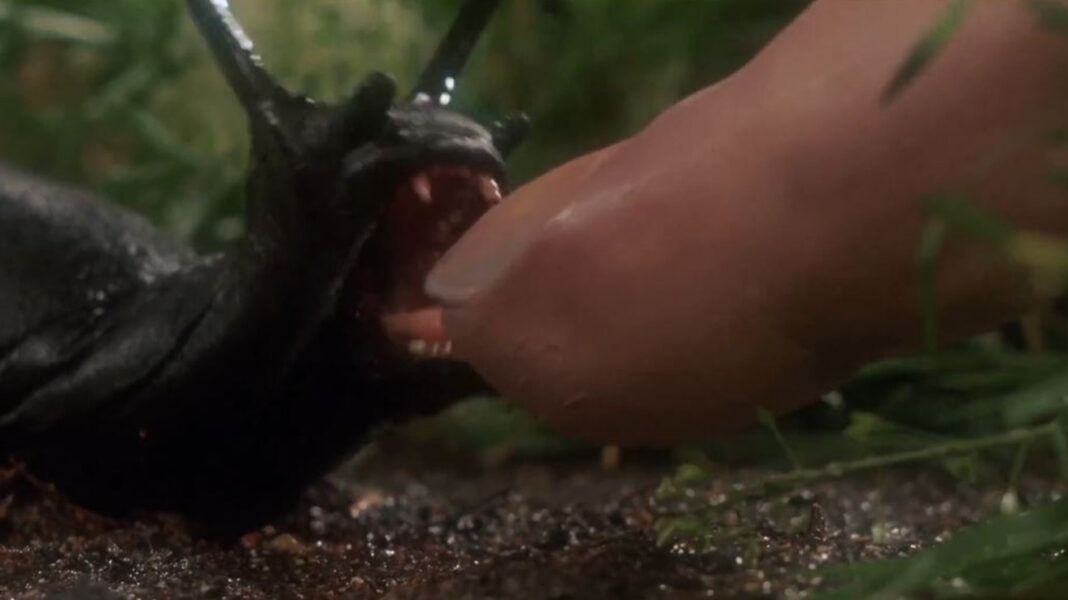 Slugs 1988 - Eco-Horror