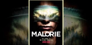 malorie bird box book review
