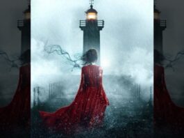 widow's point review