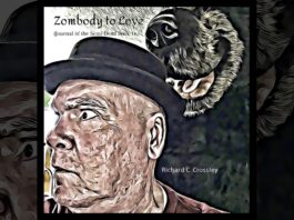 zombody to love auidobook review