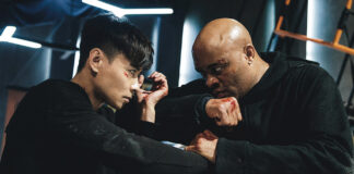 Invincible Dragon review