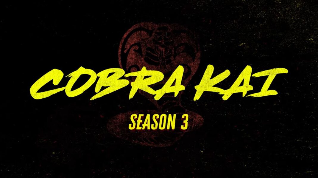cobra kai season 3 review cobra kai season 3 review