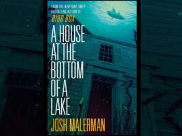 A House at the Bottom of a Lake review
