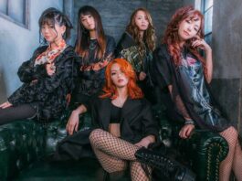 Nemophila livestream