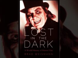Lost in the Dark book