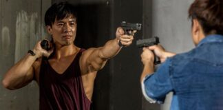 Undercover Punch & Gun 0