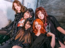 nemophila livestream video