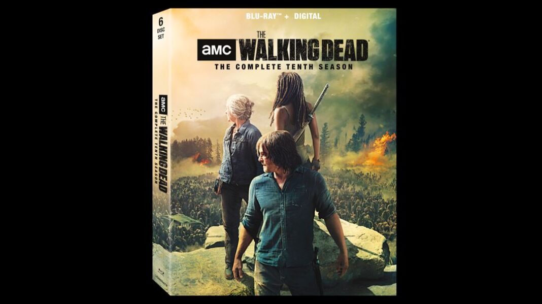 the walking dead season 10 blu-ray dvd 0