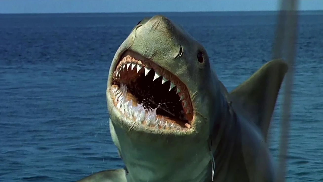 ヒロカツ JAWS再臨 ~SHARK PANIC AGAIN~ P JAWS Reign - SHARK PANIC AGAIN - 1/116,1/95ver. Pachinko