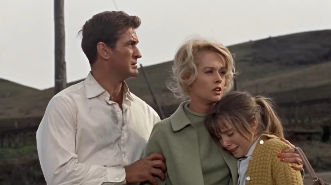 Alfred Hitchcock's The Birds 2