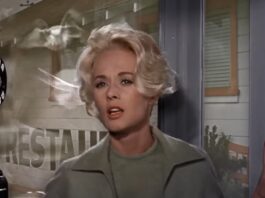Alfred Hitchcock's The Birds