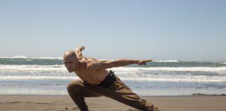 The Fist of the Condor