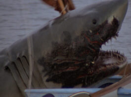 The burned shark from Jaws 2 attacking a boat.