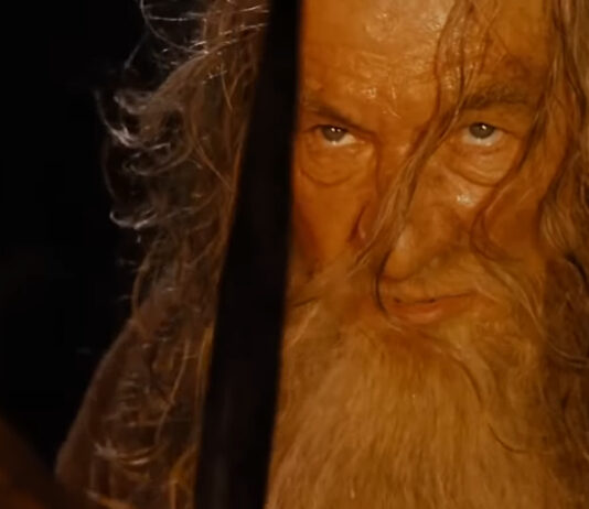 Ian Mckellen as Gandalf in The Lord of the Rings