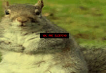 Squirrel Stapler