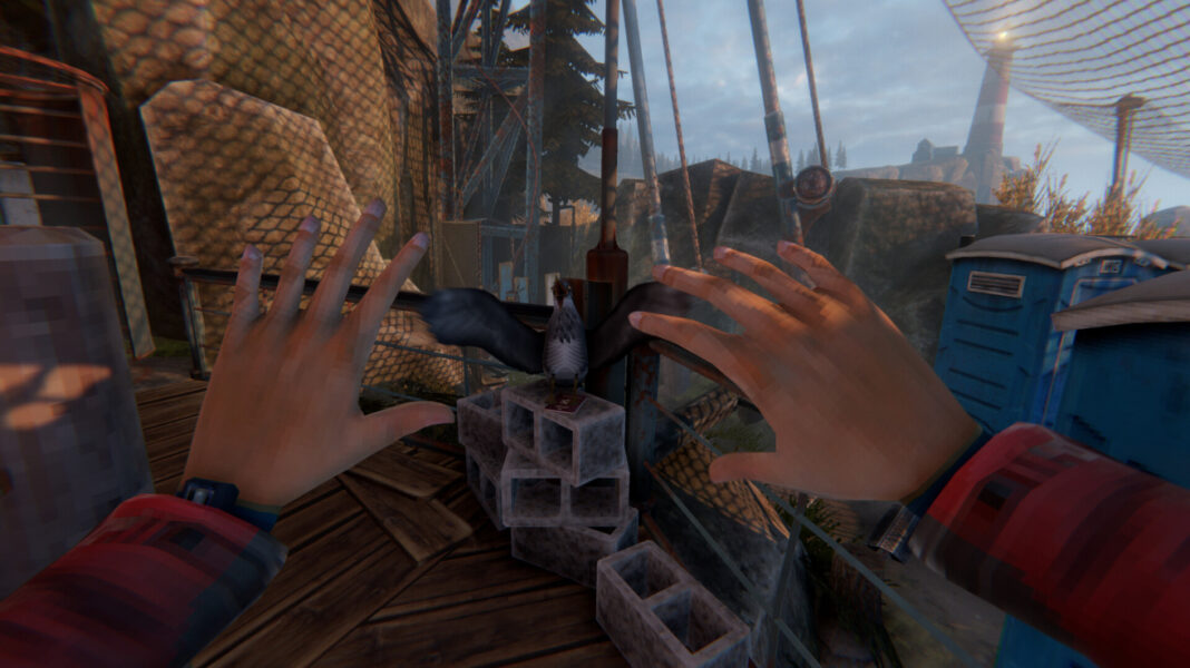 Emily Ravenstone defending herself from a seagull in Dimhaven Enigmas