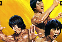 Enter the Clones of Bruce Review Brucesploitation Documentary