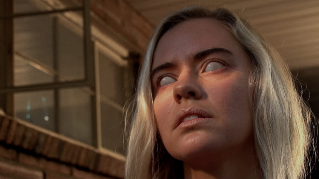 Coming to Screambox November 2024 Cryptids