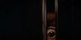 Billy's brown eye peering through a door in Black Christmas