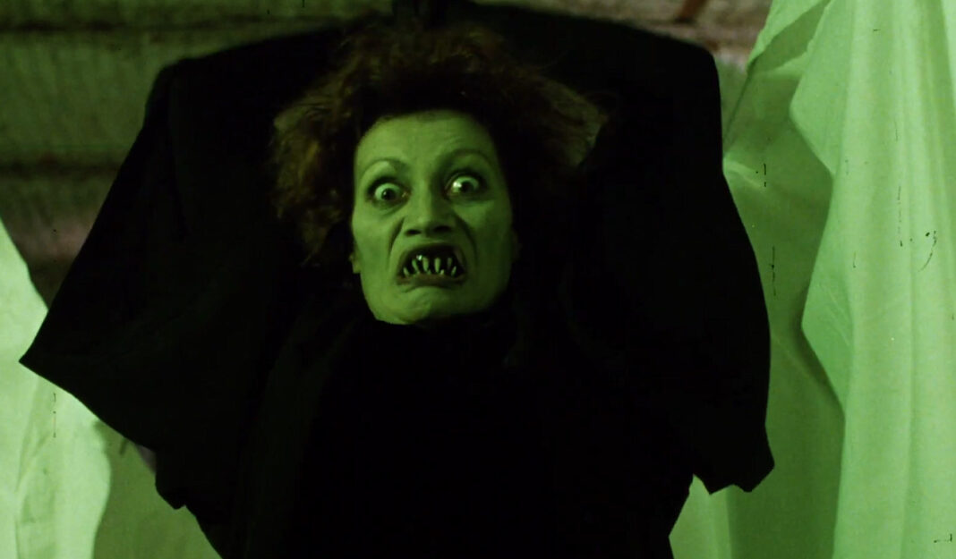 The Spider Labyrinth (1988)