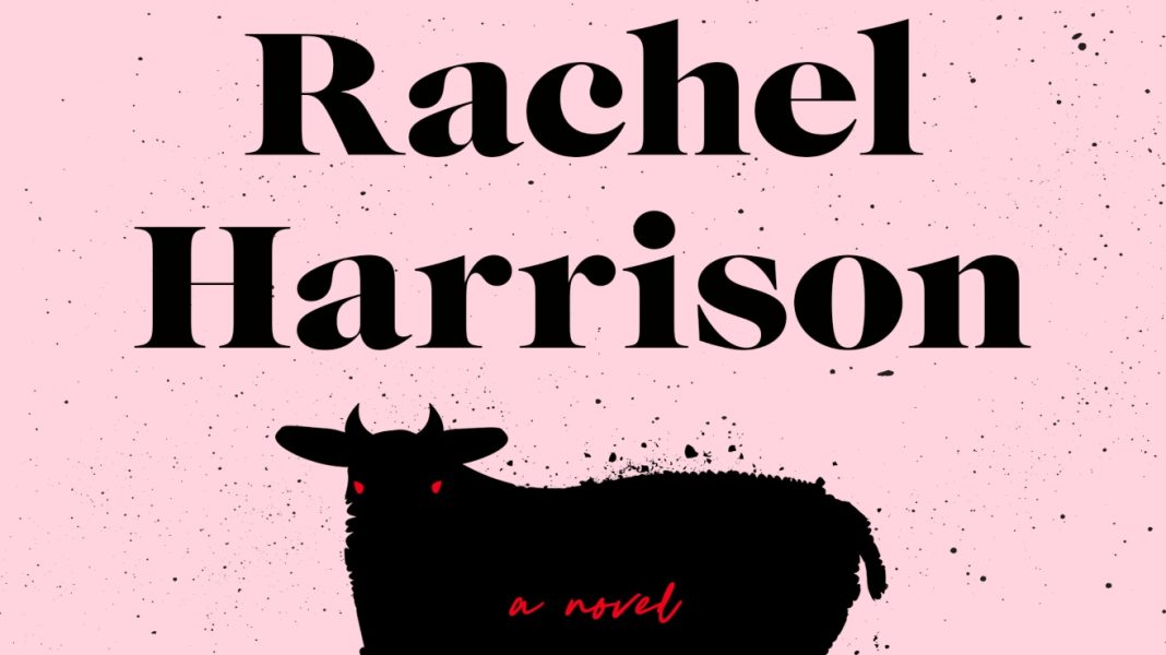 Rachel Harrison Black Sheep