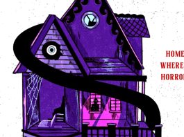 Play Nice by Rachel Harrison book cover