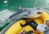 In a life raft, Aaron Eckhart's character fights off a shark in Deep Water