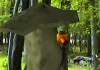 A mushroom dodges a mushroom bullet in FUNGICIDE