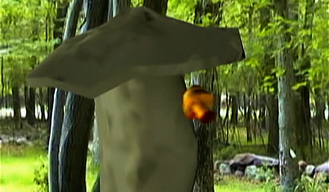 A mushroom dodges a mushroom bullet in FUNGICIDE A mushroom dodges a mushroom bullet in FUNGICIDE