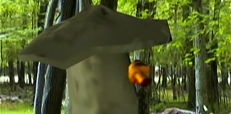 ‘Fungicide’ (2002) Blu-ray Review: A Micro-Budget Horror Flick With DIY Charm A mushroom dodges a mushroom bullet in FUNGICIDE