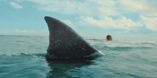 The Bay Movie Still
