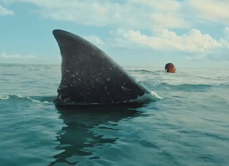 The Bay Movie Still