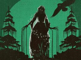 The Night Pool Cover